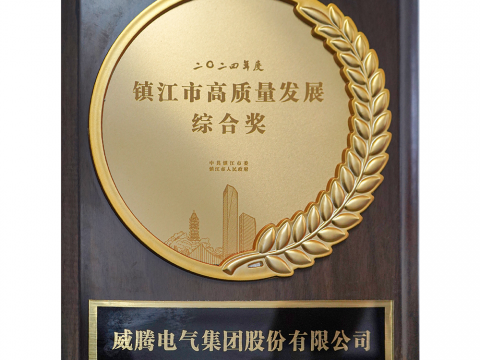 喜讯│尊龙凯时人生就是博电气集团股份有限公司荣获2024年度镇江市高质量发展综合奖